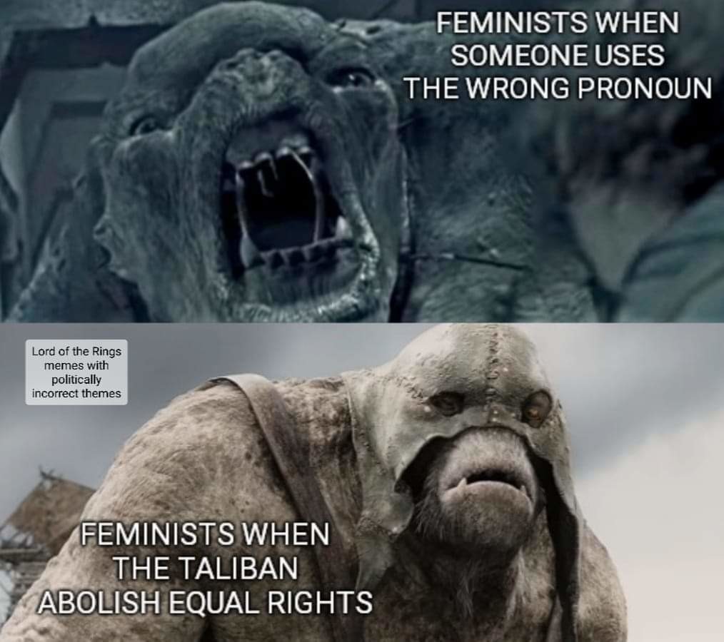 Western Feminists be like - meme