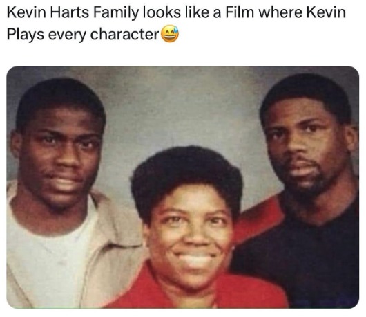 Meet the Harts - meme