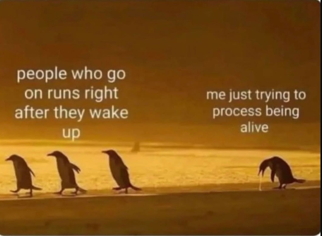 Fuck everything before 10am - meme
