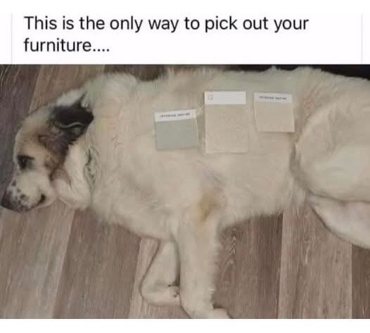 Splendid idea - meme