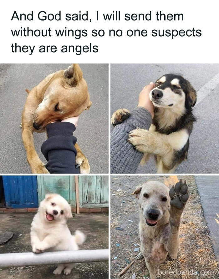 True - meme