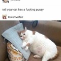 Poor pussy