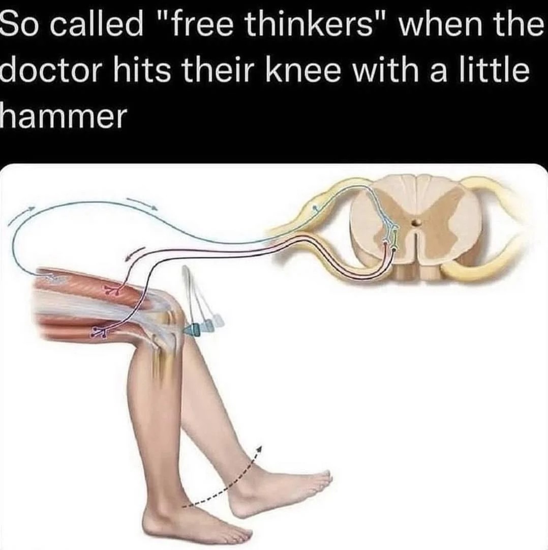 Literal knee-jerk reaction - meme