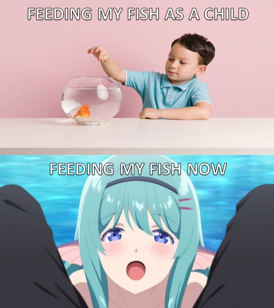 Don't forget to feed your fish - meme