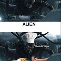 Alien vs italien