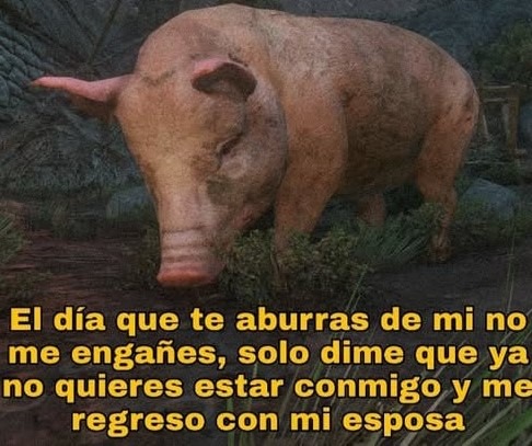 Si te aburres de mí solo avísame... y regreso con mi esposa - meme
