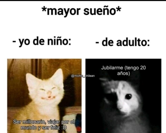 XD - meme
