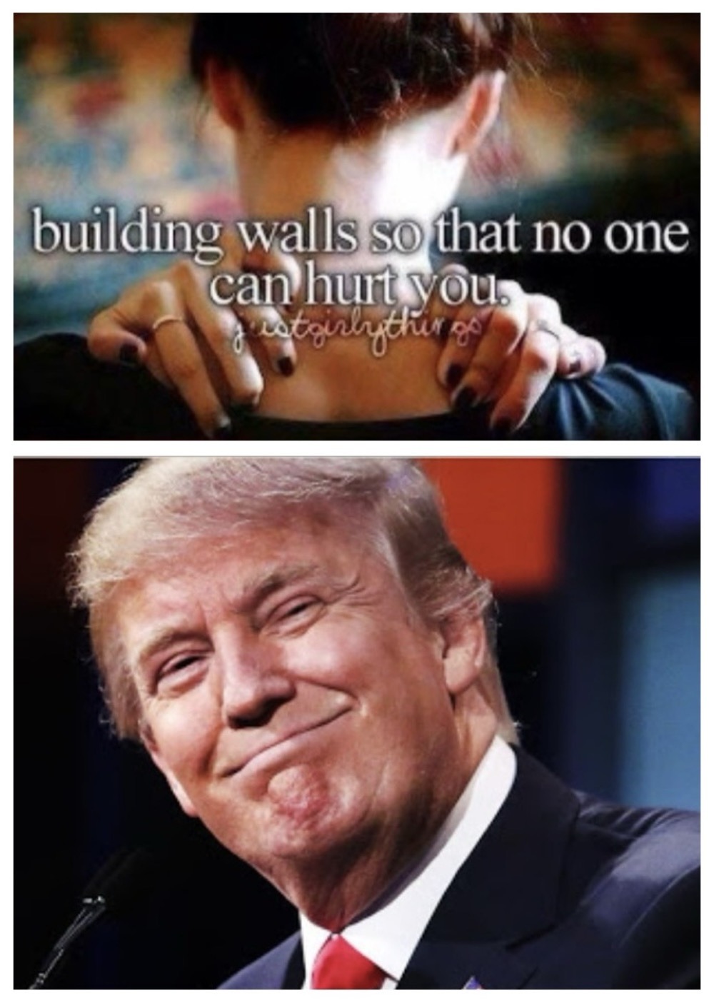 Protection, whether they like it or not - meme