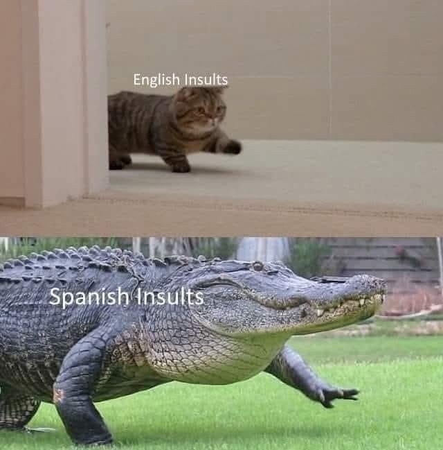 Los insultos en inglés vs los que tiramos en español - meme
