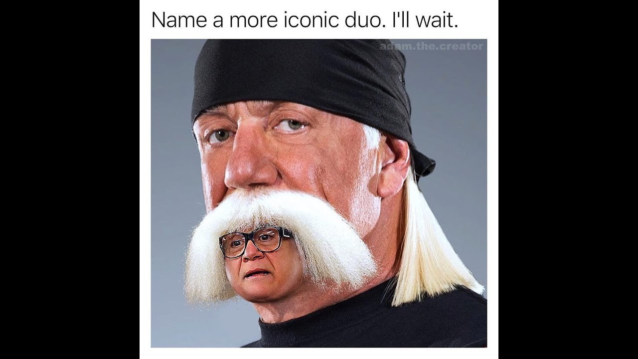 Dynamic Duo - meme