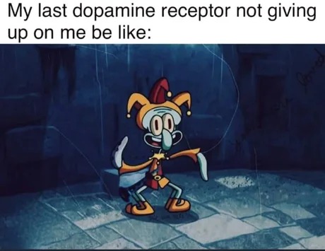 Dopamine receptor - meme