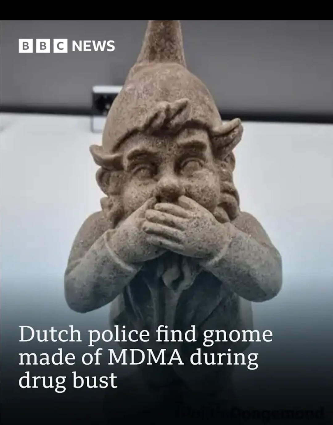Getting high on gnomes - meme
