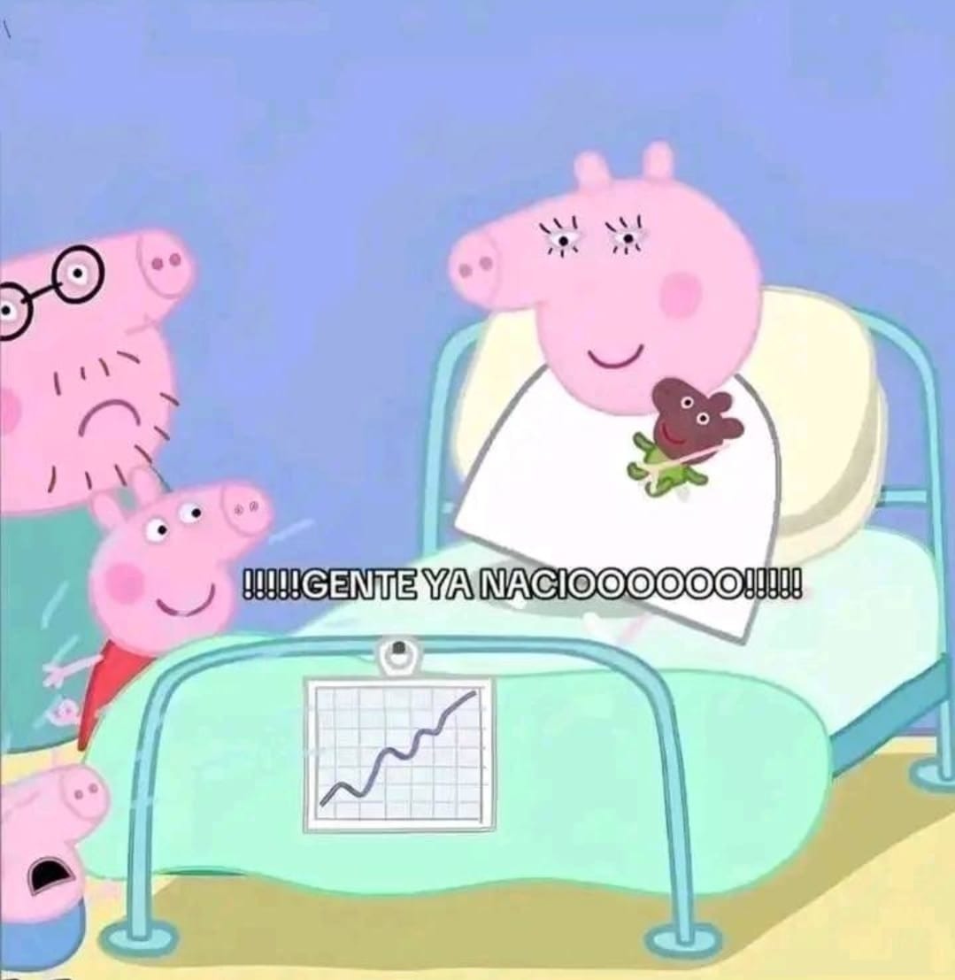 Se hecho a perder la raza - meme