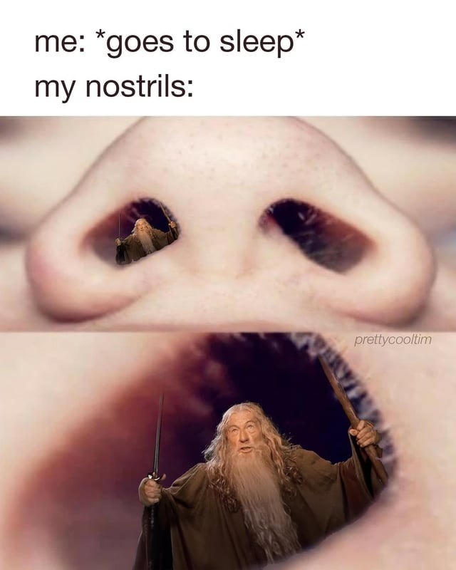 Me: trying to sleep. Nostrils: time to flex - meme