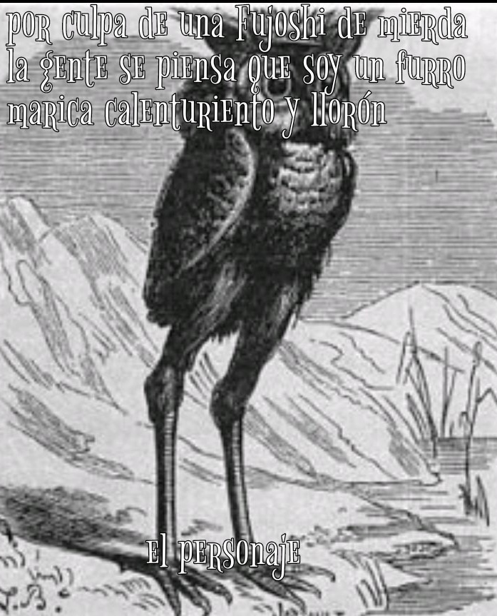 Resubido por qué me lo borraron (se que fuiste vos, anas) - meme
