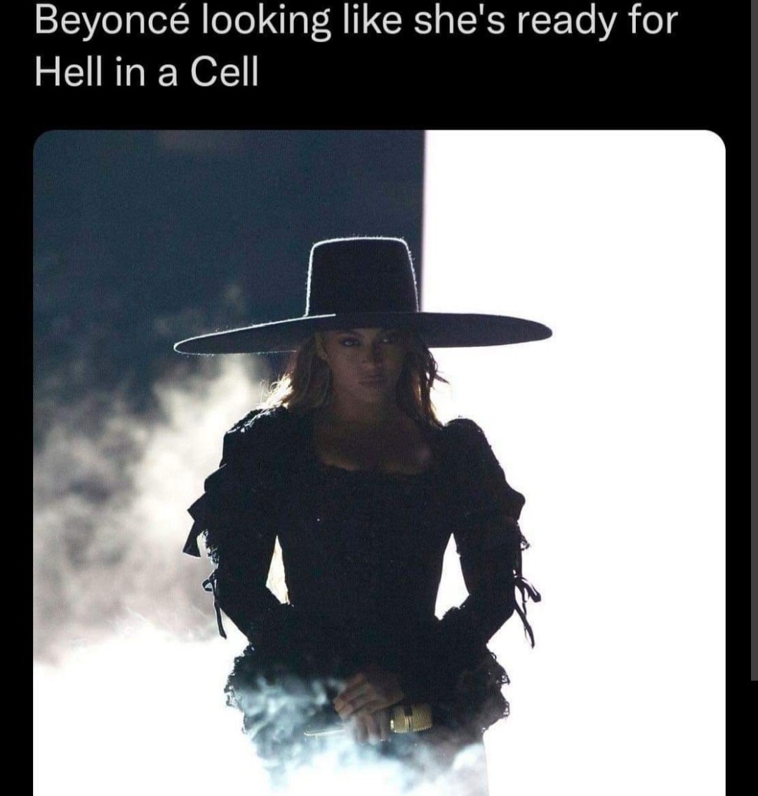 Bad blood - first hell in a cell - meme