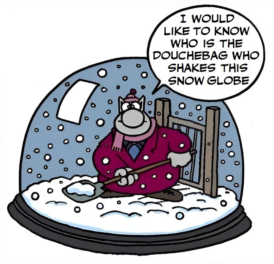 Christmas snow globes - meme