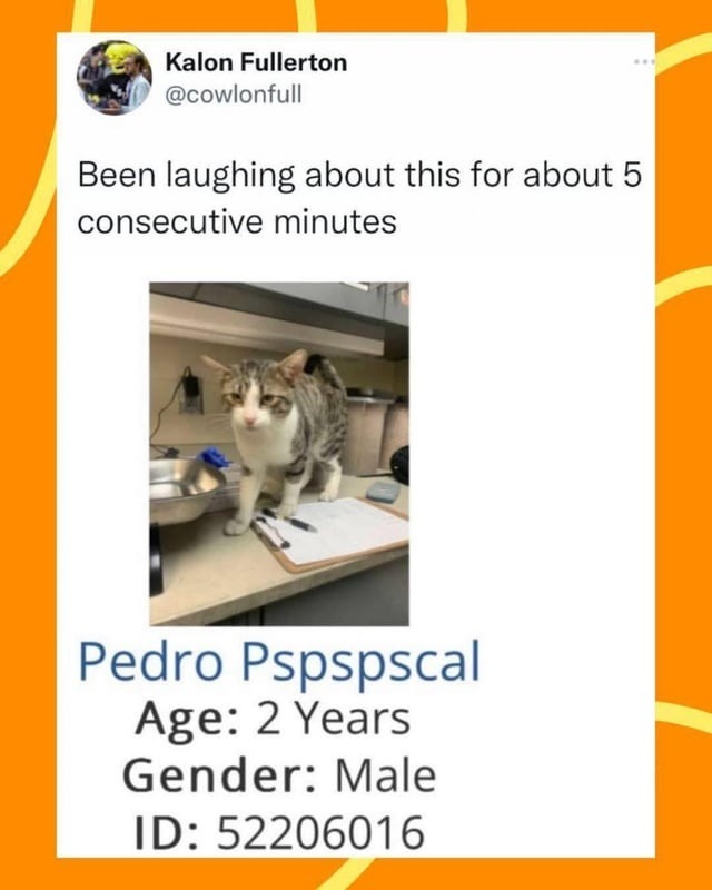Pspspscal. Age 2. A legend in the making - meme