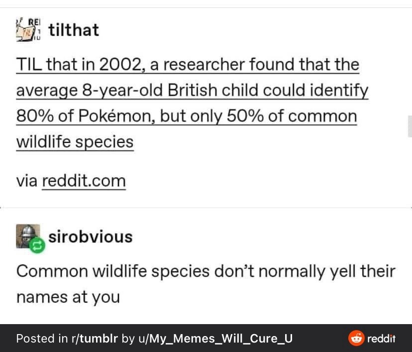 Knew all the Pokémon, forgot the robin in the hedge - meme