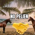 No pelien HD 2/3