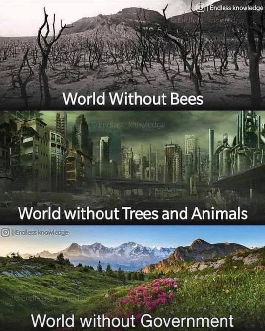 World Without Bees; World without Trees and Animals; World without Government - meme
