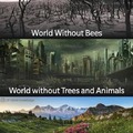 World Without Bees; World without Trees and Animals; World without Government
