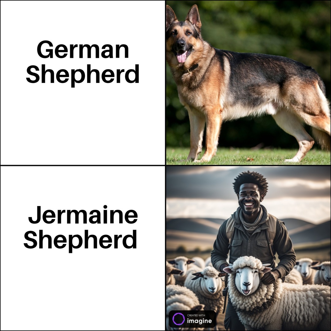 Jermaine Shepherd - meme