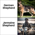 Jermaine Shepherd
