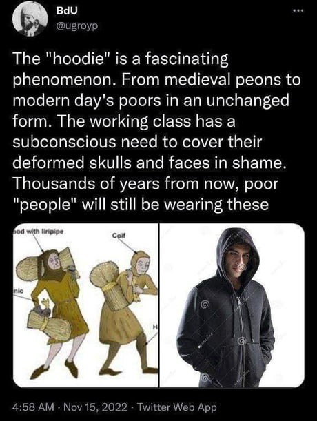 dongs in a hoodie - meme