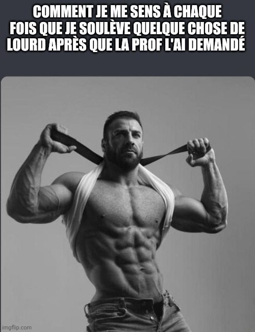 Déménageur professionnels - meme