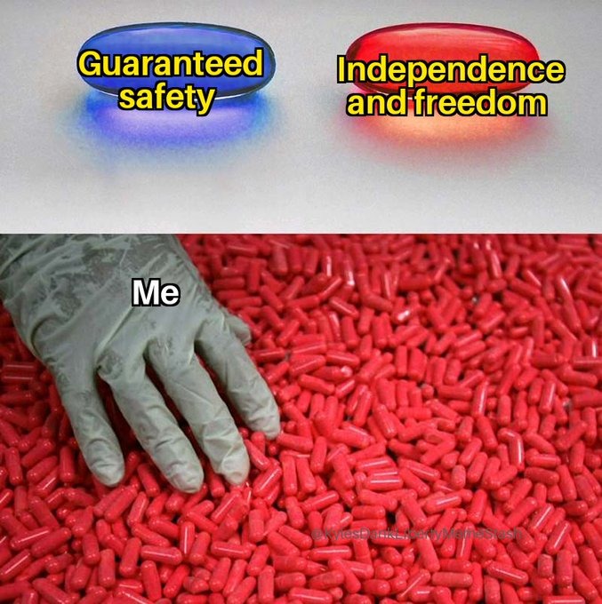 a lion in a zoo has guaranteed safety, but it is a captive for the enjoyment of others - meme