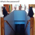 Enter password:_____________________