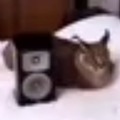 commented item thumbnail