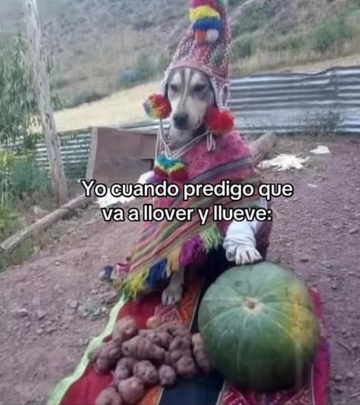 :0 - meme