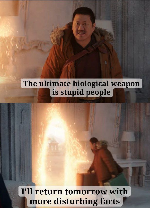 Weaponized stupidity is undefeated - meme