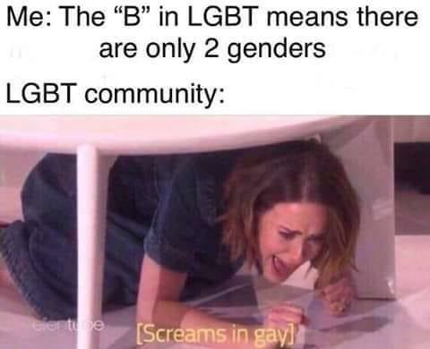 2 genders - meme