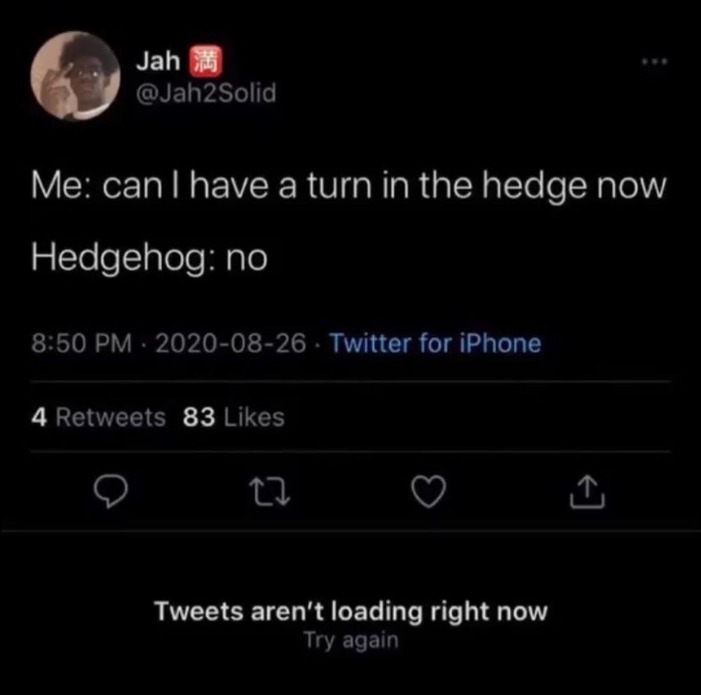 Hedgehog says "no" - meme