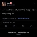 Hedgehog says "no"