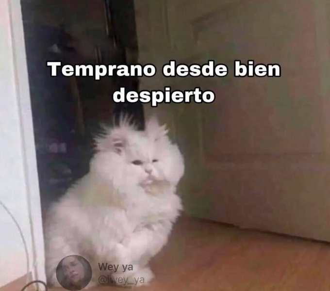 Temprano desde bien despierto - meme