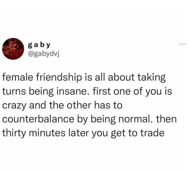 Female friendship is just taking turns losing your mind - meme