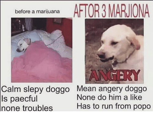 marijuana - meme