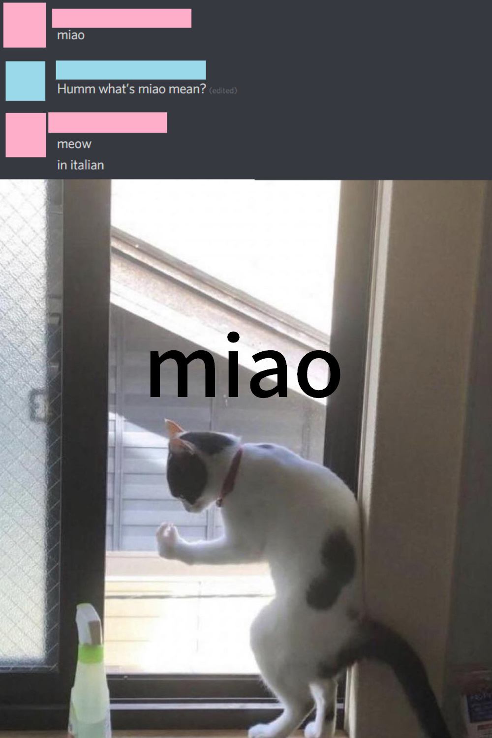 Miao - meme