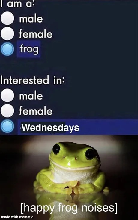 happy frog noises - meme