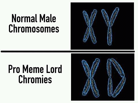 XD - meme