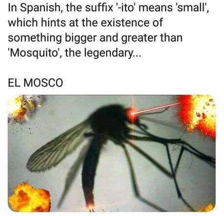 mosquitoes... - meme