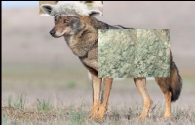 Lo que te imaginas en 'wolf in sheep's clothing' - meme
