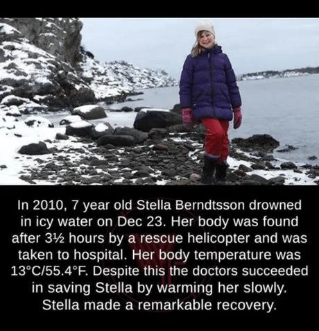she's a viking - meme