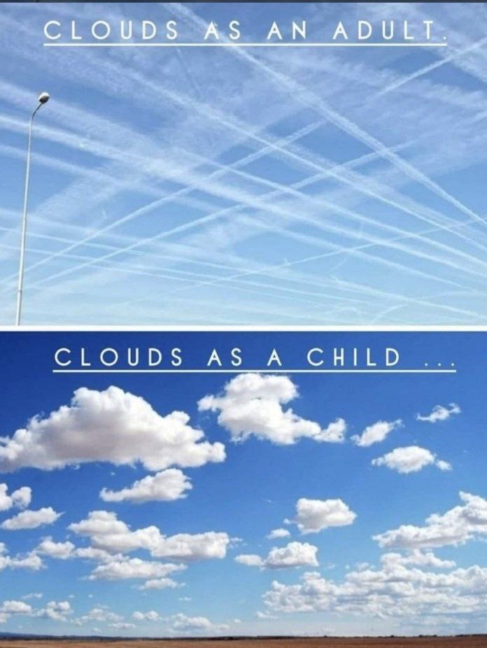 People still think Chemtrails aren't real ROTFL!!!!!!! - meme