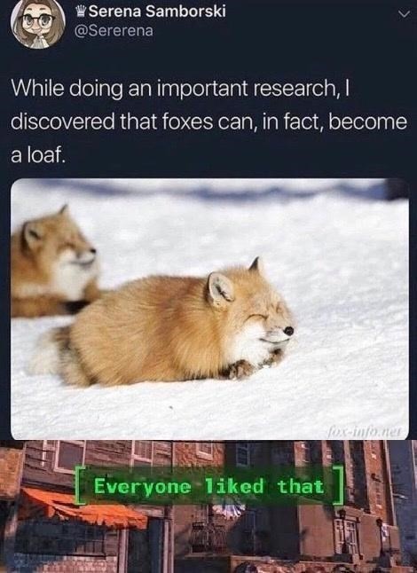 Fox loaf - meme