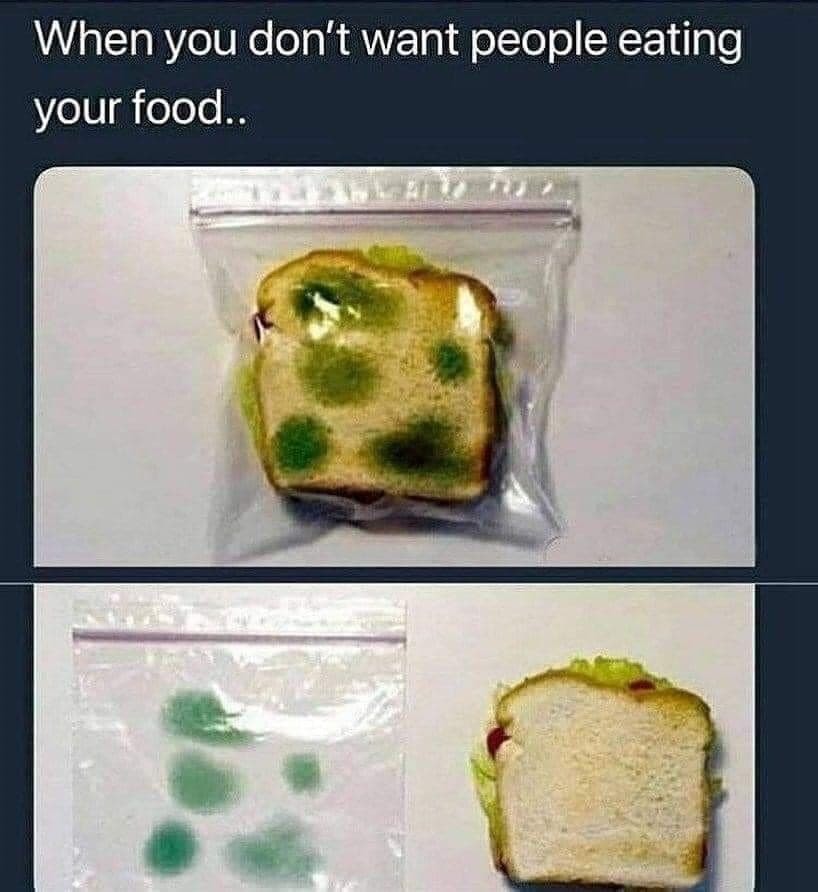 Making sure you won't get your sandwich eaten but it could be thrown away by some zealous Karen - meme